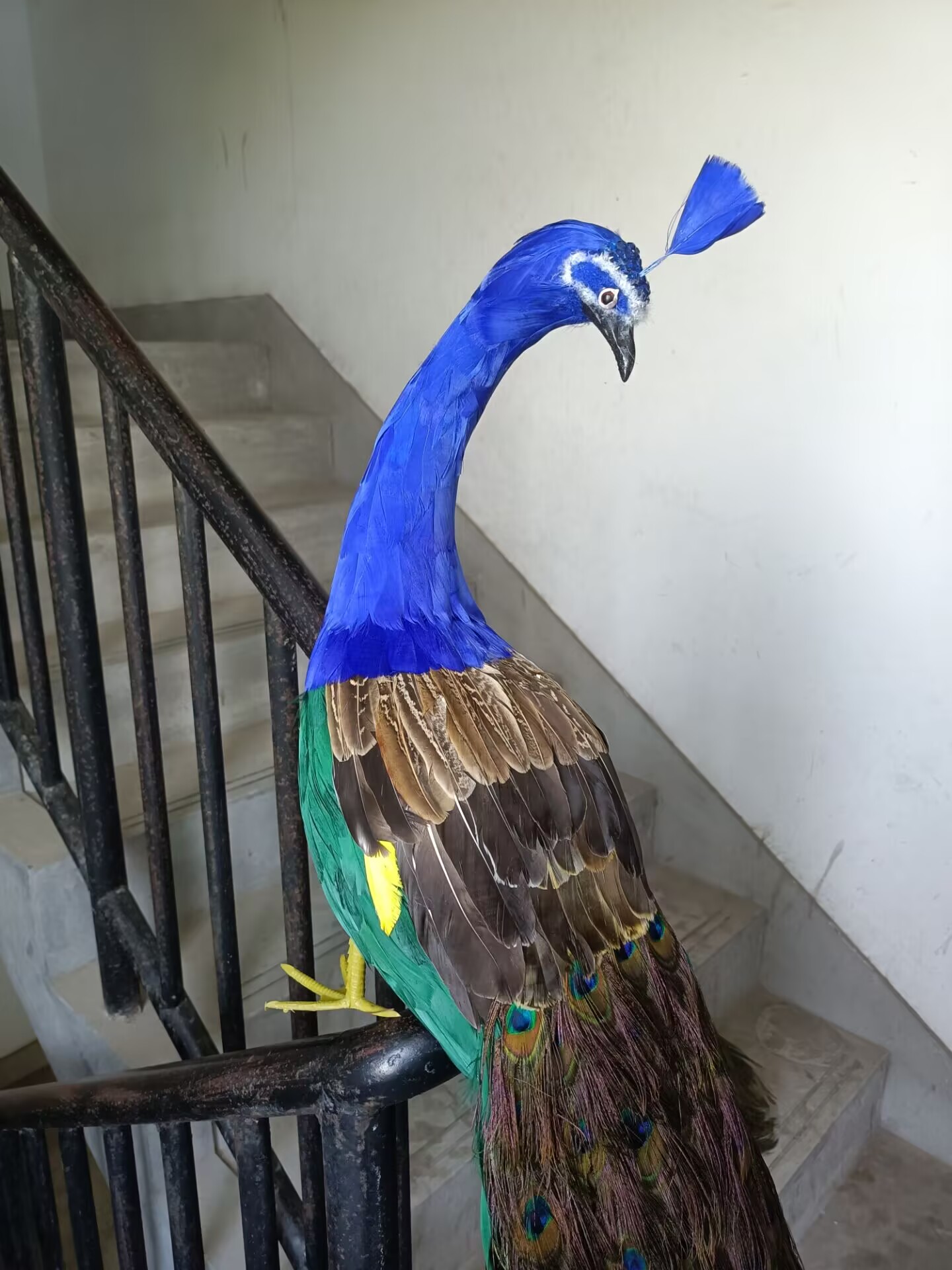 105cm Realistic Peacock Model  - Home Decor Design Ideas ulasan dan harga