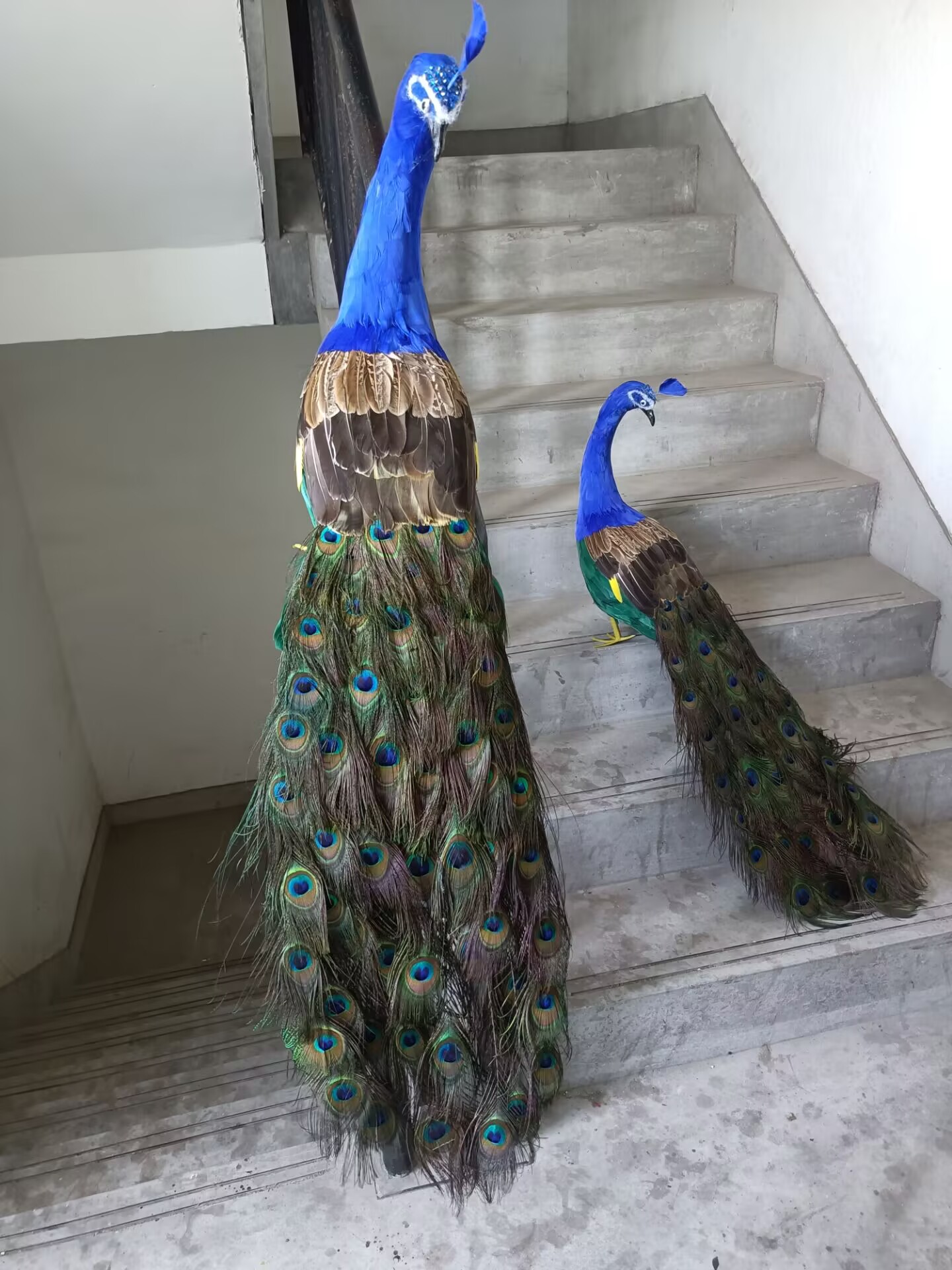 105cm Realistic Peacock Model  - Home Decor Design Ideas ulasan dan harga